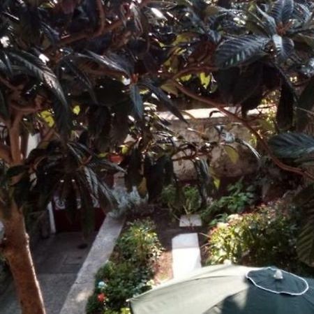 Casa Vacanze Poison ตรีเอสเต ภายนอก รูปภาพ