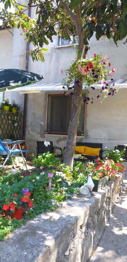 Casa Vacanze Poison ตรีเอสเต ภายนอก รูปภาพ