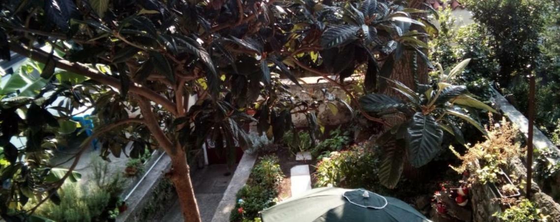 Casa Vacanze Poison ตรีเอสเต ภายนอก รูปภาพ