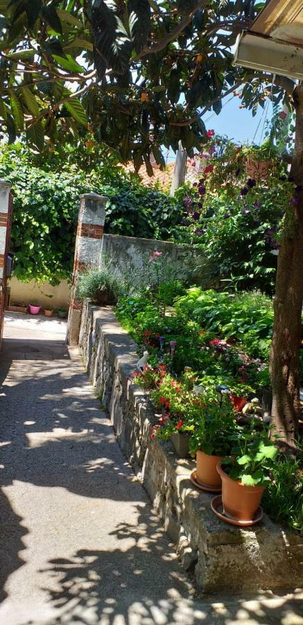 Casa Vacanze Poison ตรีเอสเต ภายนอก รูปภาพ